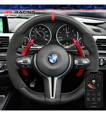 Shift paddles LED BMW